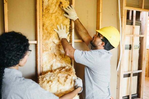 Best Soundproof Insulation  in Spanish Fork, UT